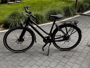 Rower Batavus Sonido Shimano Alfine 8