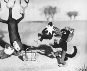 COLARGOL I CUDOWNA WALIZKA fotografia fotos UNIKAT !!!