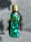 Mgiełka Victoria's Secret Neroli Bergamot