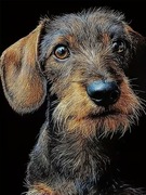 Koc dziecięcy  Jamnik