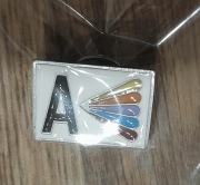 Spinka przypinka instytut różnorodności językowej Rzeczypospolitej Warszawa