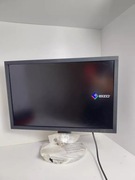 Monitor EIZO ColorEdge CG2420