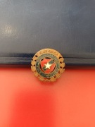 Odznaka klub kibica Wisła Kraków