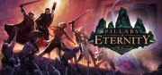 PILLARS OF ETERNITY - KLUCZ STEAM KEY - DO WŁASNEGO KONTA