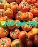 Pomidory mix odmian -PRZEDSPRZEDAŻ SMART-