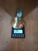 Parasolnik miedziany 