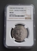 50 złotych 1981 r. FAO NGC MS 66