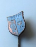 Przypinka Olsztyn herb Wpinka Miedziana