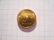 Polska moneta 2 gr groszy 2024