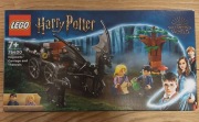 LEGO Harry Potter 76400 - Testrale i kareta z Hogwartu