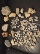 Skamieniałości jura, amonit, belemnit, jura