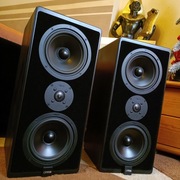Canton karat 950 dc Kolumny głośniki monitory kino domowe 