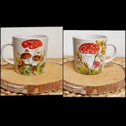 Likwidacja kolekcji,Ręcznie malowane  grzybki leśne 