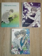 Manga Tylko kwiaty wiedzą - tomy 1-3 (komplet)