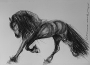 Rysunek z koniem, obraz, szkic, koń, fryz, 100x70