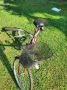 Rower jubilat 26 cal