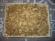 10 KG - ORZECHY WŁOSKIE ŁUSKANE - JASNE SMACZNE 2025