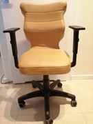 Krzesło biurowe Perto firmy Entelo z Łącka - nowe