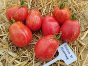 BORSA DI MONTONE nasiona Pomidor Kolekcjonerski