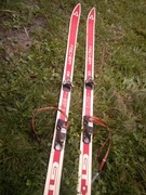 Narty Fischer Austria 