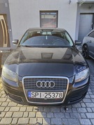 Audi A3 8p 1.9 TDI