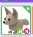 NR Fennec Fox! |NAJTANIEJ SZYBKO DUŻO POLECEŃ!| Adopt Me |Roblox