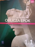 język polski oblicza epok 1.1 WSiP