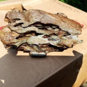 SKAŁA KAMIEŃ  DO AKWARIUM LUB TERRARIUM