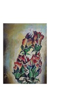 Szarmanckie   Róże       Golden  