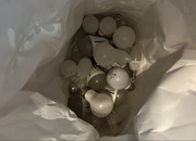 Żarówki LED cały komplet żarówka żarówki różna 29 szt
