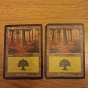 Forest (347) Odyssey MTG land