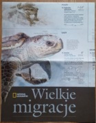 Mapa National Geographic Wielkie migracje