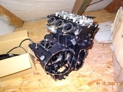 Street Triple 675 13-17 programator biegów