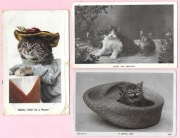 Koty na 3 starych pocztówkach ...