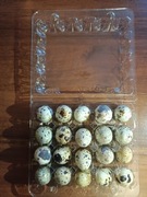 Jaja, jajka przepiórcze bez GMO - 100 szt; 5 wytłaczanek