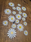 Dekoracyjne stokrotki na ścianę