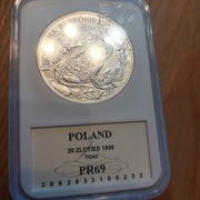 Ropucha  paskowka 20 zl