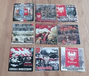 Vlepki Lech Poznań Arka Gdynia Cracovia KSZO 