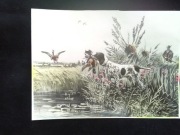 Star Litografia rycina polowanie  na  kaczki