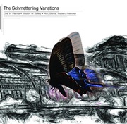 Illusion Of Safety – The Schmetterling Variations