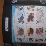 Karnet Bl. 393A rok 2025 stan **