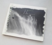 Siri's Svale Band - Blackbird