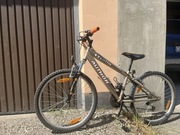 Rower Author model Matrix 13 cali złoty Junior koła 24 odbiór osobisty