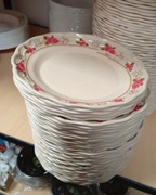 Zestaw 6x porcelanowych talerzy obiadowych z motywem roz 