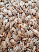 Mąka orkiszowa  typ 500 