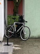 Rower Ostre Koło/Fixed Gear Vintage