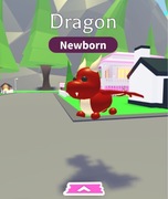 Dragon Adopt me Roblox