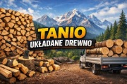 Drewno opałowe Liściaste/Iglaste w dobrej cenie 