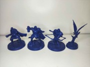 Warhammer Age of Sigmar - Xandire's Truthseekers