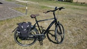 Rower Batavus Finez